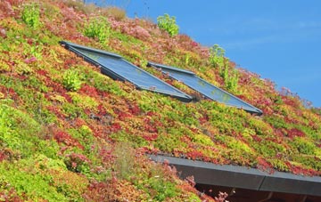 Parlington living roof systems